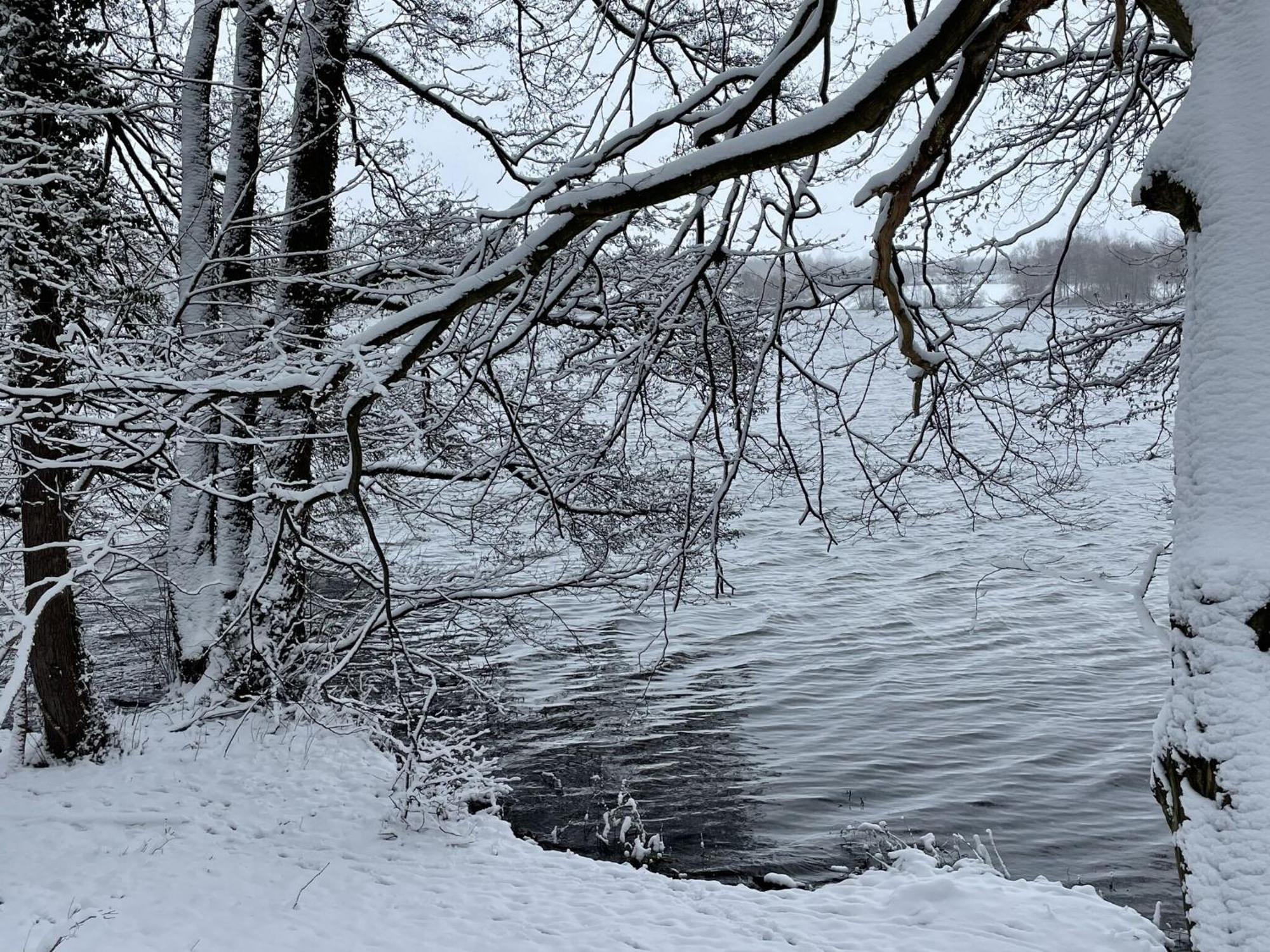 Flat In Eutin On The Kleiner Eutiner See Lake Exterior foto