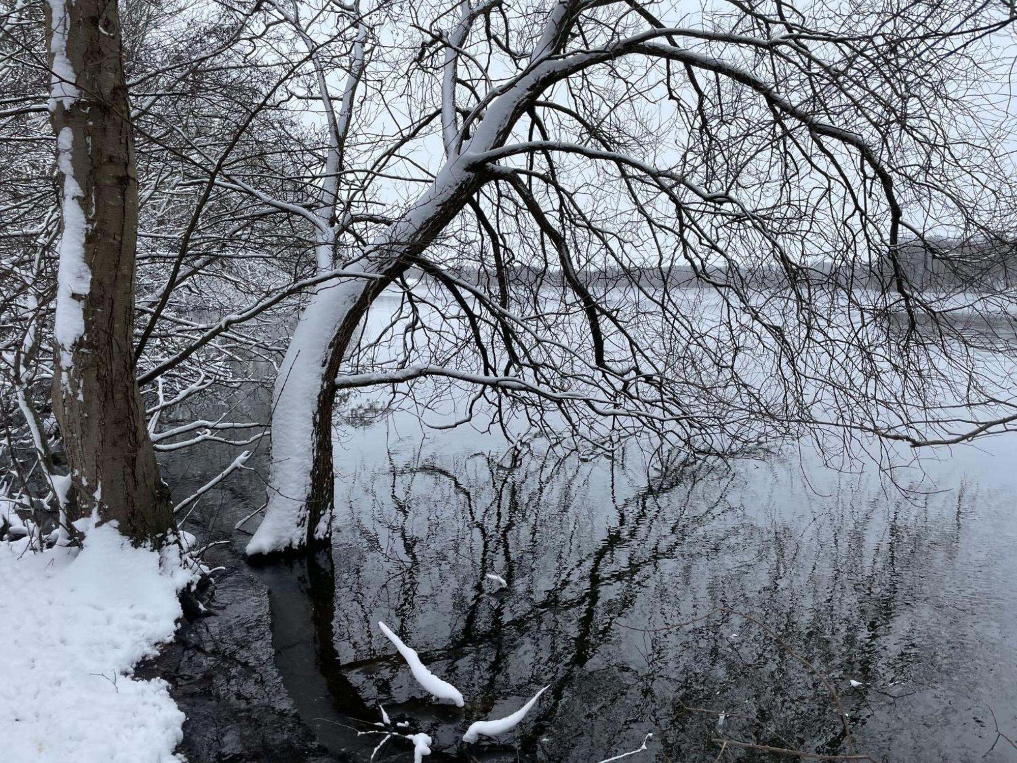 Flat In Eutin On The Kleiner Eutiner See Lake Exterior foto